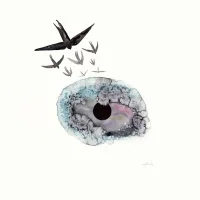 Le Voyage D'Hiver