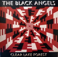 Clear Lake Forest