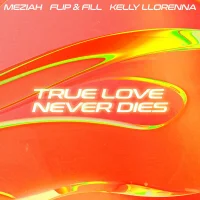 True Love Never Dies