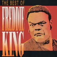 The Best Of Freddie King