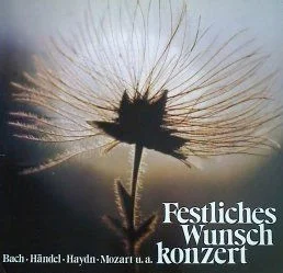 Festliches Wunschkonzert