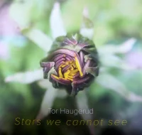 Stars We Cannot See