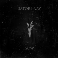 Sow