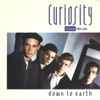 Down To Earth