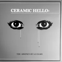 The Absence Of A Canary