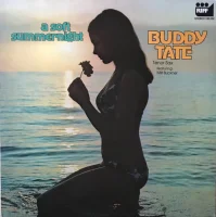 A Soft Summernight (Music For A Soft Summernight)