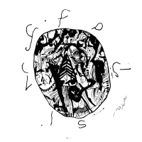 Celestial Hieroglyphs
