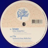 Synapse (Bungle Remix) / I Try (Muffler Remix)