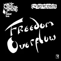 Freedom Overflow