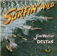 Surfin' Wild