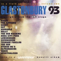 Glastonbury 93 (In A Field Of Their Own Volume Two) (Highlights From The NME Stage)