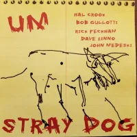 Stray Dog