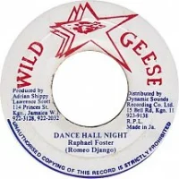 Dance Hall Night / Who Say De Gun Dem Puddung