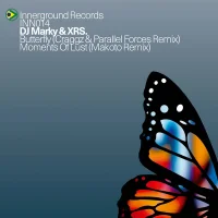 Butterfly (Craggz & Parallel Forces Remix) / Moments Of Lust (Makoto Remix)