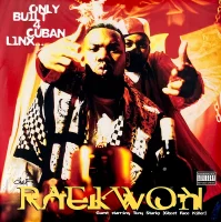 Only Built 4 Cuban Linx...