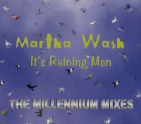 It's Raining Men (The Millennium Mixes)