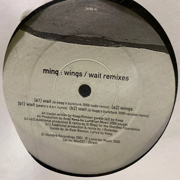 Wings / Wait Remixes