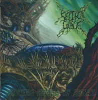 Growing Seeds Of Decay