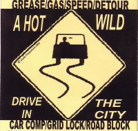 A Hot Wild Drive In The City