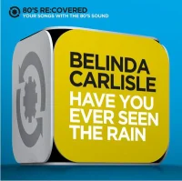 Have You Ever Seen The Rain