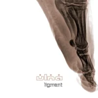 Ligment