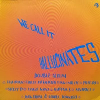 We Call It Hallucinates