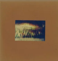 Voices In The Dark / Plankton