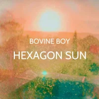 Hexagon Sun