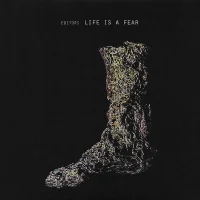 Life Is A Fear