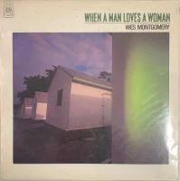 When A Man Loves A Woman 男が女を愛する時