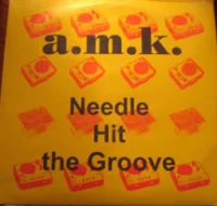 Needle Hit The Groove