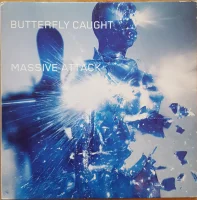 Butterfly Caught