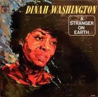 A Stranger On Earth