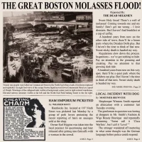 The Great Boston Molasses Flood