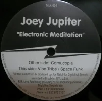 Electronic Meditation