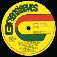 Born For A Purpose / Reason For Living