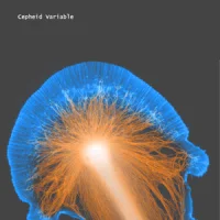 Cepheid Variable
