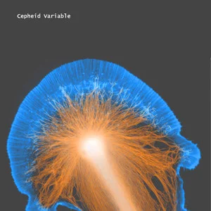 Cepheid Variable