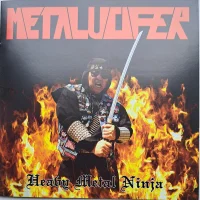 Heavy Metal Ninja
