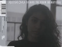 Scars To Your Beautiful