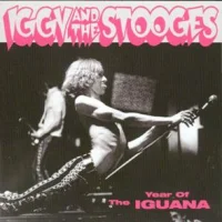 Year Of The Iguana