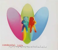 Wonderful Life