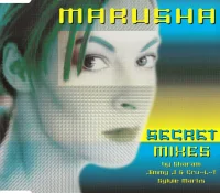 Secret (Mixes)