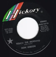 Touch The Morning