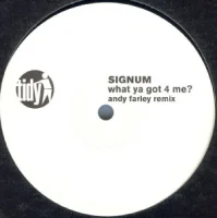 What Ya Got 4 Me? (Andy Farley Remix)