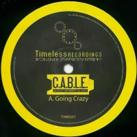 Going Crazy / My Destiny