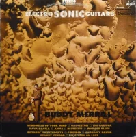 Electro Sonic Guitars