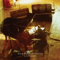 Back Into The Woods