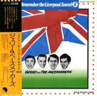 Remember The Liverpool Sound 8