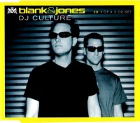 DJ Culture